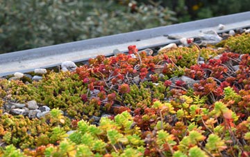 the cost of Arrowe Hill green roof installation