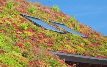 Arrowe Hill living roof systems