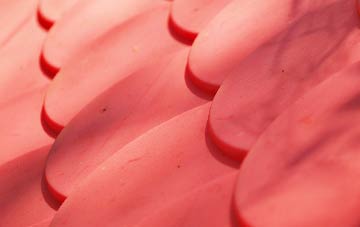 Arrowe Hill plastic roof costs